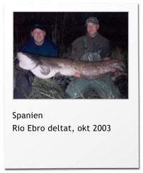 Spanien Rio Ebro deltat, okt 2003