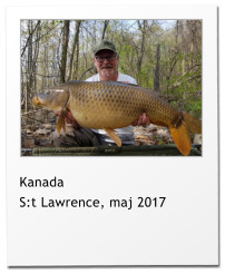 Kanada S:t Lawrence, maj 2017