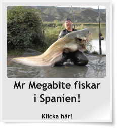 Mr Megabite fiskari Spanien! Klicka här!