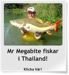 Mr Megabite fiskari Thailand! Klicka här!