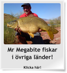 Mr Megabite fiskari övriga länder! Klicka här!